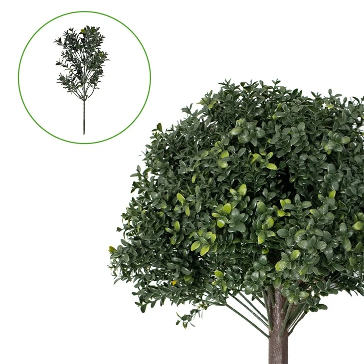 Boxwood Balls
