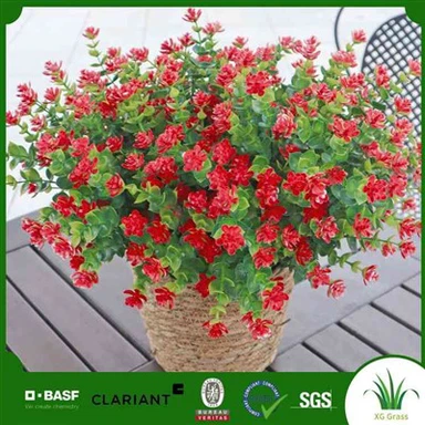 Umelé záhradné rastliny