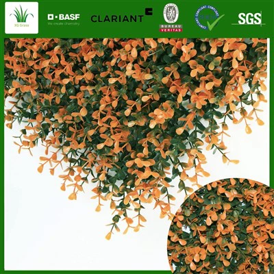 Vnútri múru bylinková záhrada