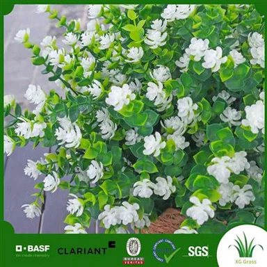 Malé umelé rastliny